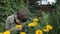 A little boy in the garden is sniffing yellow flowers. Allergy, medicine concept.