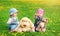 Little boy and girl in hats sitting on the field with soft toys in summer