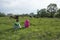 Little boy and girl in the meadow grazing cows.