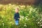 Little boy in the glade of chamomiles in summer