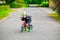 Little boy in green helmet and balance bike run bike. Childho