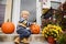 Little boy at halloween celebrations party. Child sitting on staircase and playing with halloween pumpkin jack o lantern.