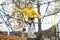 Little boy having fun in Adventure Park for children amoung ropes, stairs, bridges. Outdoor climbing adventure playground in