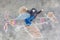 Little boy having fun with airplane picture drawing with chalk