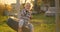 Little boy having fun on chain swing. Child on playground. swing Kids play outdoor. Smiling boy swinging on a rope at a