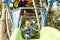 Little boy having fun on a playground outdoors in summer. Toddler on a slide.