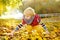 Little boy having fun during stroll in the park on sunny autumn day. Child collecting and playing maple leaves. Active family time