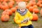 Little boy having fun on a tour of a pumpkin farm at autumn. Child sitting on giant pumpkin.