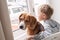 Little boy with his doggy friend waiting together near the window