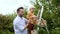 Little boy with his father picking apples in orchard. Child and dad standing on a ladder, putting fruits into box and eating apple