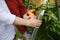 Little boy with his father picking apples in orchard. Child and dad stands on a ladder and put on apples into box