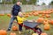 Little boy and his father on a pumpkin farm at autumn. Family with child hold a wheelbarrow with pumpkins