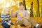 Little boy and his grandmother having fun during stroll in the forest at sunny autumn day. Child and granny playing maple leaves.