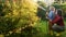 Little boy and his mother watering plant with garden hose in sunny backyard.