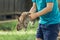 Little boy is holding a bunny at the farm