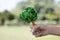 Little boy holding recycled paper tree to promote eco lifestyle. Gyre