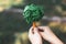 Little boy holding recycled paper tree to promote eco lifestyle. Gyre