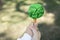 Little boy holding recycled paper tree to promote eco lifestyle. Gyre