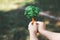 Little boy holding recycled paper tree to promote eco lifestyle. Gyre