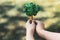 Little boy holding recycled paper tree to promote eco lifestyle. Gyre