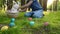 Little boy hunting for egg in spring garden on Easter day. Traditional festival outdoors. Child celebrate Easter holiday.