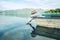 Little boy launch paper ship from old boat on the lake