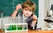 Little boy at lesson. Back to school. Little kid learning chemistry in school lab. Biology lab equipment. Little boy at