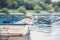 Little boy lying in the old boat on a pond at the summer evening