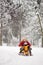 Little boy and mother sliding in the park during a snowfall