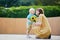 Little boy offering bunch of sunflowers to his mom