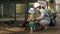 A little boy with parents feeding a rabbit with green grass in a zoo. Several beasts eat.