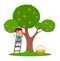 Little boy picking apples flat vector illustration. Adorable child  on ladder near apple tree in garden.