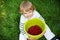 Little boy picking raspberry on organic self pick farm