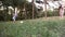 A little boy on a picnic with his family at the edge of the forest plays with a ball.