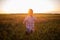 Little boy in plaid shirt runs around the mowing field of wheat in rays of the sunset sun. Childhood