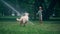 Little boy play water sprinkler on green field with playful golden retriever