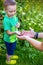 A little boy is playing with a frog in nature. Kids discovery