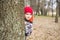 Little boy is playing hide and seek outdoors. Portrait of a cute little boy peeking from behind tree