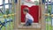 Little boy playing in the playground, sits down and stands up