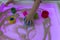 A little boy plays with sand, shapes and a pyramid on a table with a purple sub-shirt