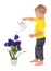 Little boy pouring on flower