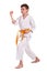 Little boy practice karate