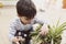 Little boy pruning flower pot at home as a gardener