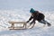 Little boy pushing sled uphills