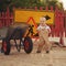 Little boy on the repaired road