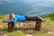 Little boy resting on a bench