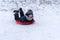 A little boy rides a sled from a winter slide