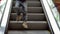 Little boy rises on the escalator. The boy goes down on escalator steps in shopping center. Christmas shopping. Slow