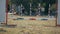 Little boy is running with his dog breed dachshund and jumping over a crossbar taking part in an agility competition in a glade in