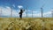 Little boy running in a wheat field with wind turbines on the background, 4K